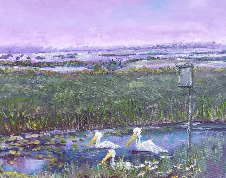 Area artists will be featured during September virtual exhibit