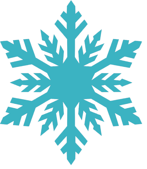 Design a snowflake for FDLPL’s children’s department