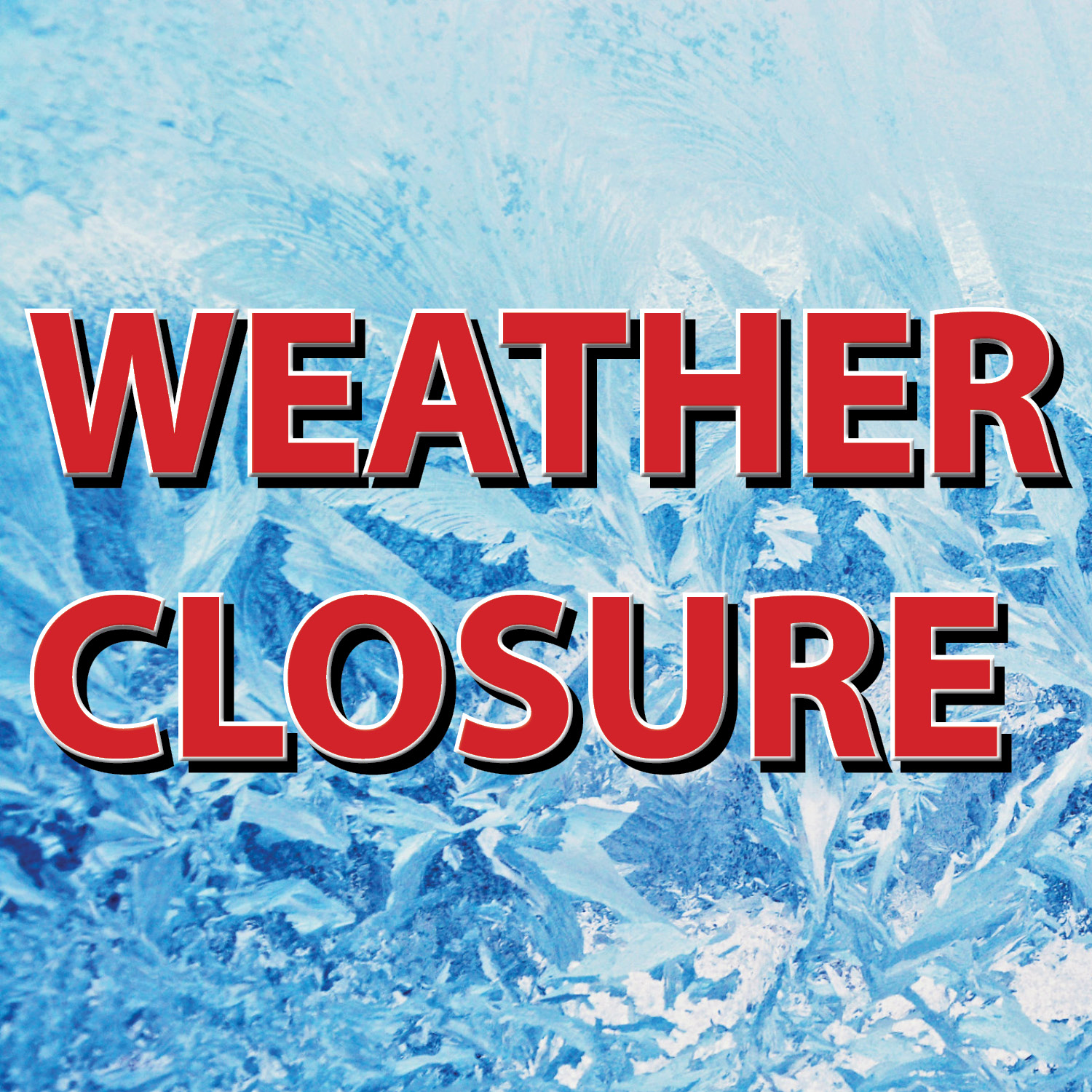 Library closed today due to weather; stuffed animal pickup moved to Sunday
