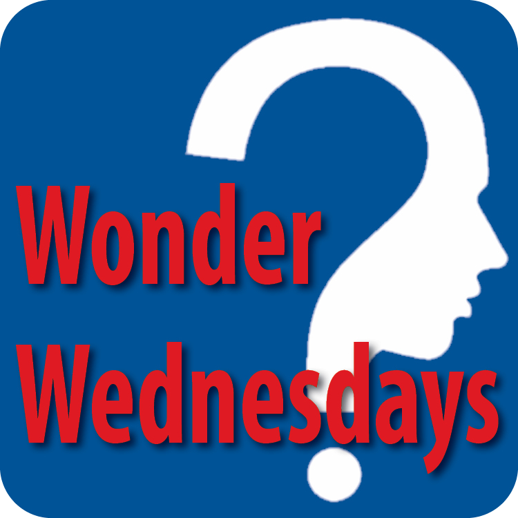 Wonder Wednesdays will engage FDLPL patrons, build community